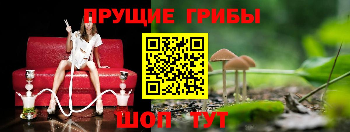 Беслан  Галлюциногенные грибы GOLDEN TEACHER  что такое   Псилоцибиновые грибы Magic Shrooms  Вход с VPN 